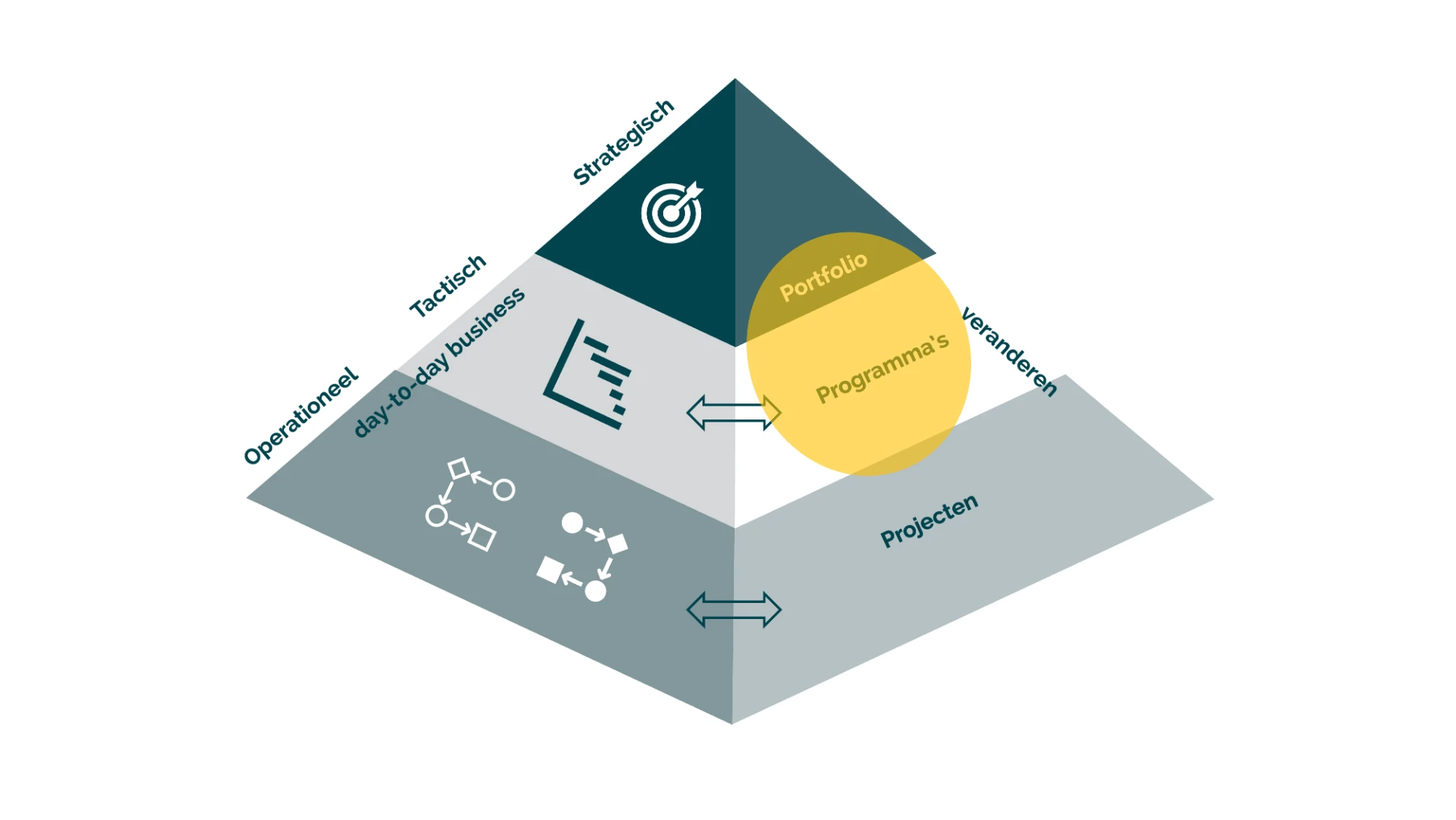 Piramide met de positie van Programma- en Verandermanagement