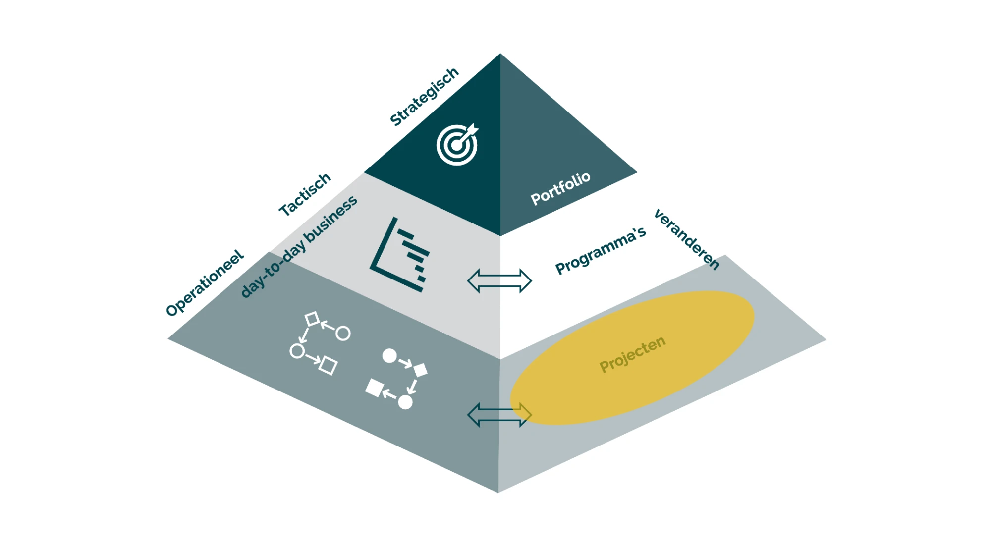 Piramide met de positie van Projectmanagement